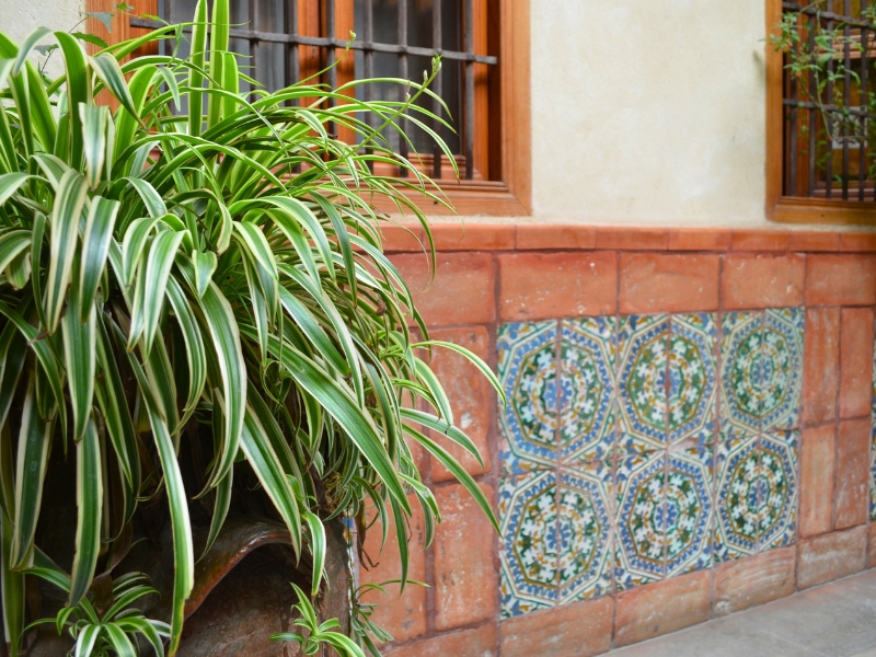 Hotel en albaicin encanto santa isabel real albayzin con patio andaluz 9 Hotel en albaicin encanto santa isabel real albayzin con patio andaluz 9